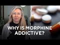 Why Is Morphine Addictive A Prof Jennifer Stevens