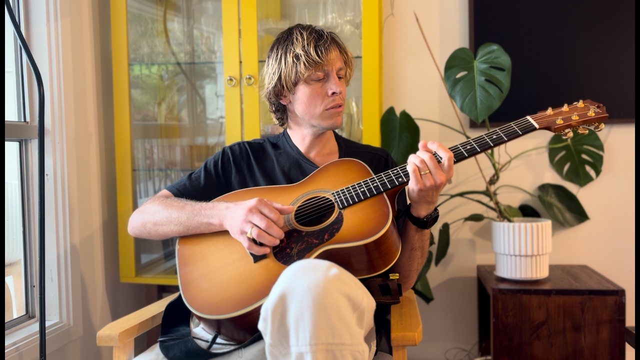 Mitch Tolnay live performance — click to watch