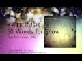 Kate Bush 50 Words for Snow - Teaser - Brand new ...