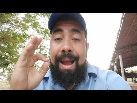 RED CAIPIRÃO HEAVY serve for laying | CHAT