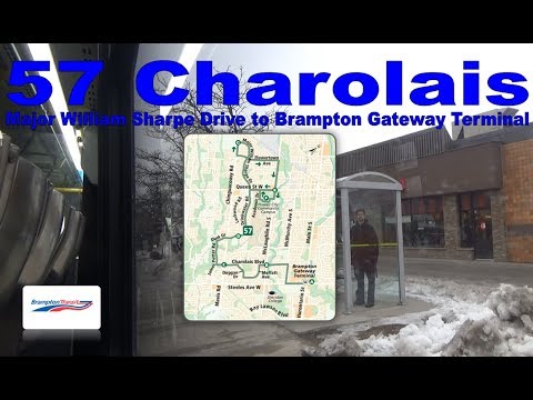 57 Charolais - Brampton Transit 2018 Nova Bus LFS 1801 (Major William Sharpe Dr to Brampton Gateway)
