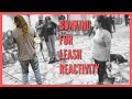 Bonking for Leash Reactivity - Jeff Gellman Seminars
