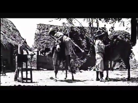 SÉPTIMO PARALELO (Basada en la obra del escritor venezolano José Natalio Estrada)