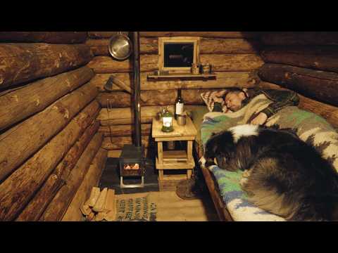 Cozy Cabin Sleep | A Man and His Dog Alone in the Woods | No Talking