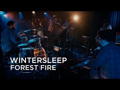 Wintersleep Forest Fire