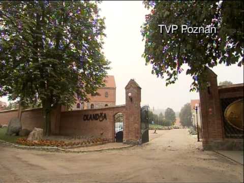 Wielkopolska w EUROPIE - Olandia - TVP Poznań