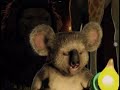 Disney S The Wild 2006 On DVD Commercial 4