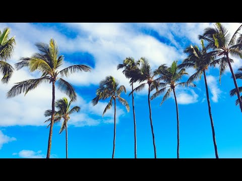 download lagu mp3 mp4 Free Salsa Music Sites, download lagu Free Salsa Music Sites gratis, unduh video klip Free Salsa Music Sites