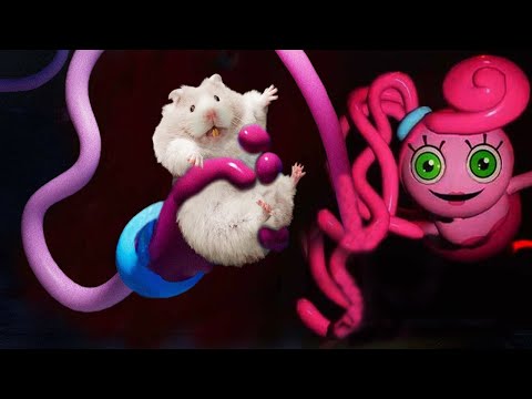 Hamster Escapes HUGGY WUGGY Maze - Poppy Playtime Chapter 2 Maze| Life Of Hamster