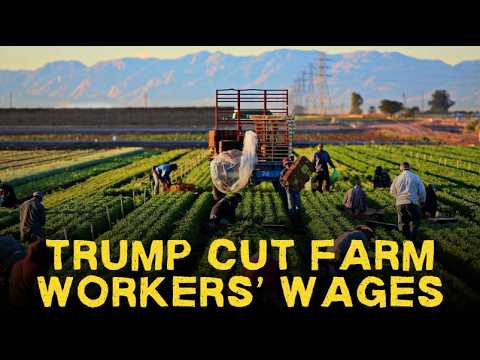 Farm Workers: Here's How We Can Help