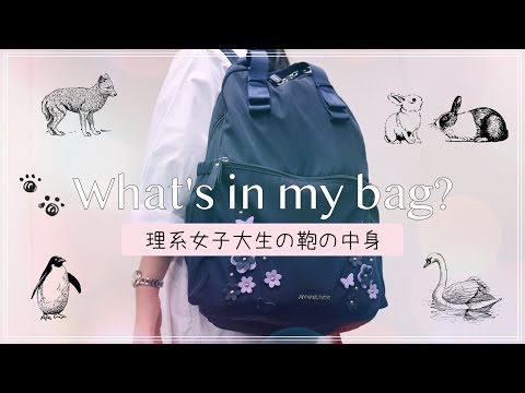 【理系女子大生】1年生の通学カバンの中身を紹介【What's in my bag?】