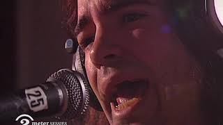 The Posies &quot;I Am The Cosmos&quot; (Chris Bell) live on 2 Meter Sessions 1993