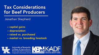 Beef Business Foundations | Tax Considerations for Beef Producers