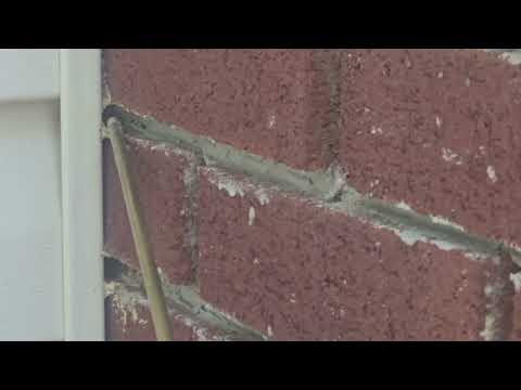 Yellow Jackets Reside in the Side of the Home in Roosevelt, NJ