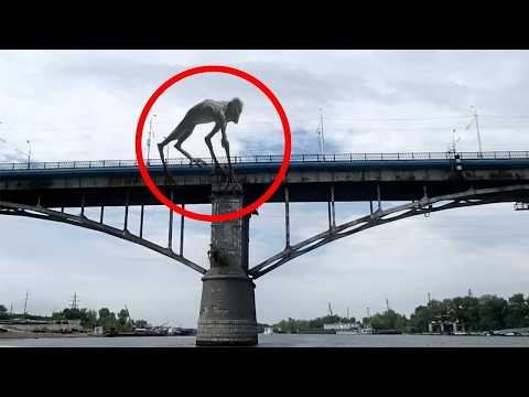 50 Creature Giganti Catturate Dalle Telecamera