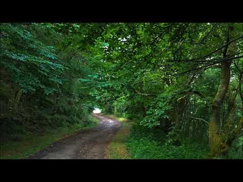 RICHARD EMUNDS canta LOVE ME TENDER