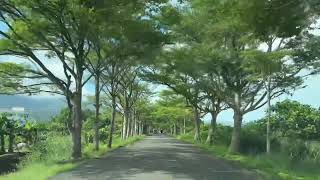 四十甲濕地試騎行2025年6月14日星期六下午⛅️