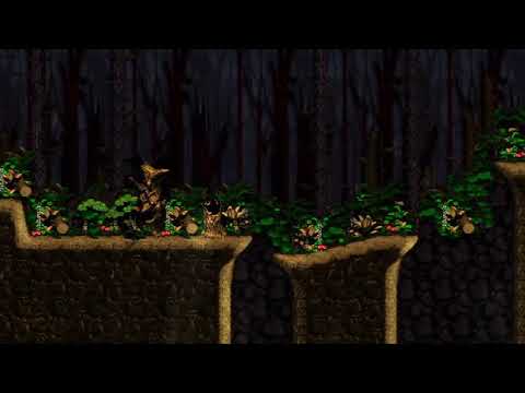 Donkey Kong Country 2 - Forest Interlude 1 Hour