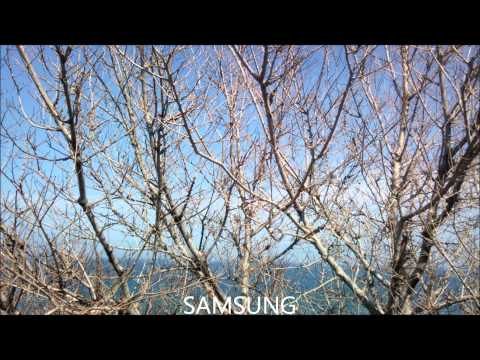 Lamezia Terme Tropea in BLUESS