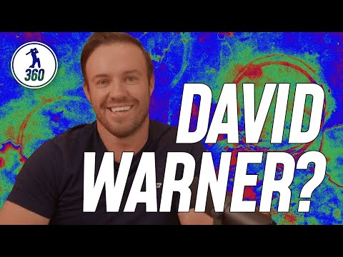 Do you agree with AB de Villiers' take about David Warner?