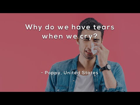 Why do we have tears when we cry?