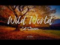 Cat Stevens - Wild World (Lyrics)