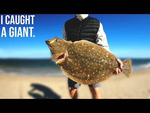 Single Jig + Blade SHOREMAT - Deadliest Fluke Rig - Flounder Fishing 2025
