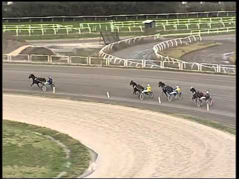 Trotto 20/01/2015 - 2° Prova di Rqualifica