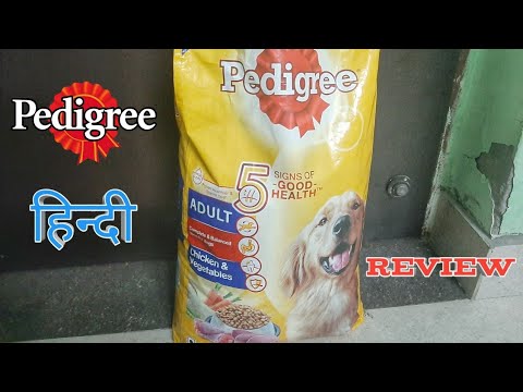 Pedigree adult dog food review || Best food for your...