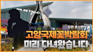 늦어버린 업로드 미리 다녀왔습니다! 고양국제꽃박람회