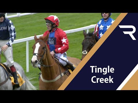 SIRE DE GRUGY wrests back his crown in the 2015 Betfair Tingle Creek Chase at Sandown