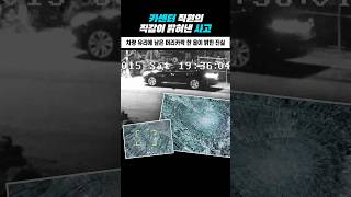 Download lagu The Truth Revealed by a Single Strand of Hair on the Windshield mp3