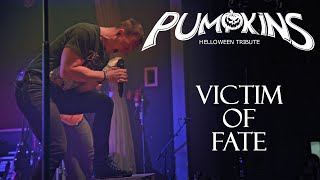 Pumpkins | Helloween tribute - Victim of Fate - Live in KD Šeříková 2024