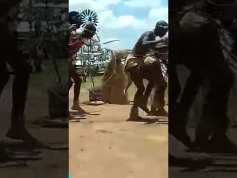 Tswana Traditional Dance