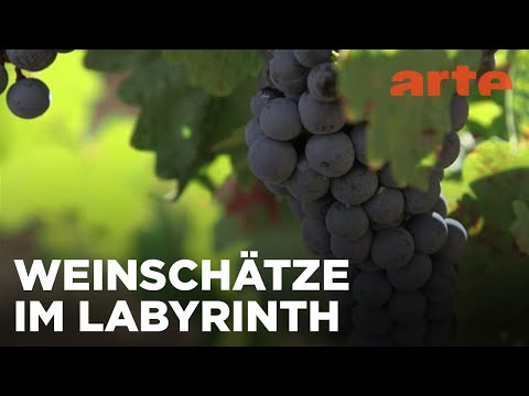 Spanien/Rioja: Die Hüter der Tradition | Die wunderbare Welt der Weine | ARTE Fernweh