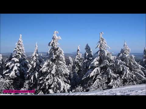 Madelyne - Beautiful Child (4 Strings Vocal Remix)