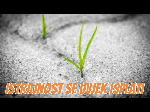 Istrajnost se uvjek isplati