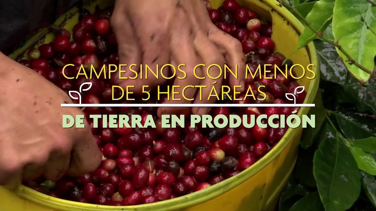 Agricultura al Día / ¿Qué es la agricultura familiar