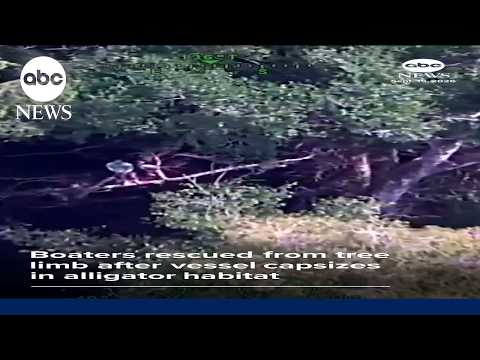 Boaters rescued from tree limb after craft capsizes in alligator habitat