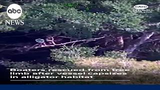 Two boaters rescued from tree after capsizing in alligator-inhabited Florida river