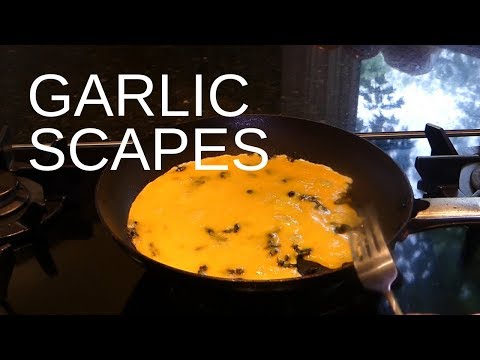 download lagu mp3 mp4 Garlic Scape Pizza, download lagu Garlic Scape Pizza gratis, unduh video klip Garlic Scape Pizza