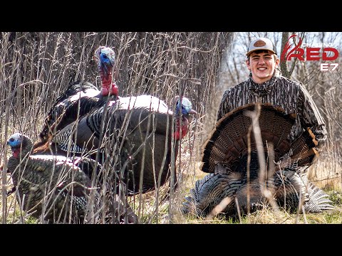 Cementing The Hunting Heritage In Iowa, Three Gobblers Charge Into Range #hunting #turkeyhunting