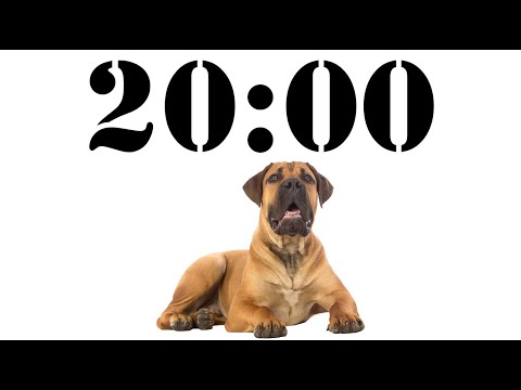 20 Minute Dog Timer for School and Homework. Dog Bark Alarm Sound