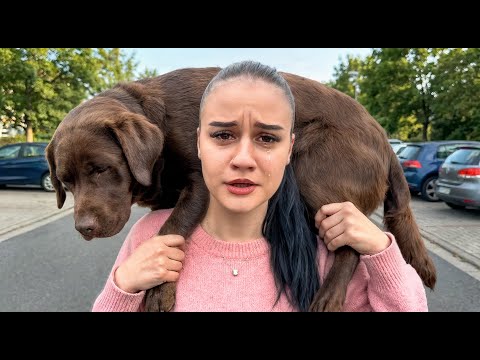 PRONAŠLI SMO NEJRINOG PSA MRTVOG 