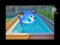 Elmo World Fish Quiz