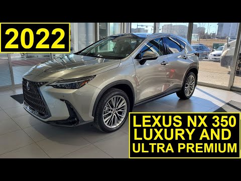 2022 Lexus NX 350 AWD Luxury Model review of features and Walk Around