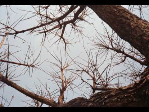 J Dilla - Practice Sessions (Extended)