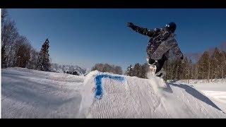 Nozawa 2018