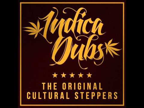 3NtY-DubGarden Indica Dubs - Special Party Steppers