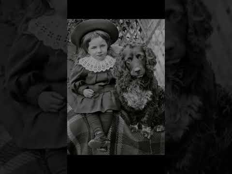 Historical Old Photos of People and Places Vol 229